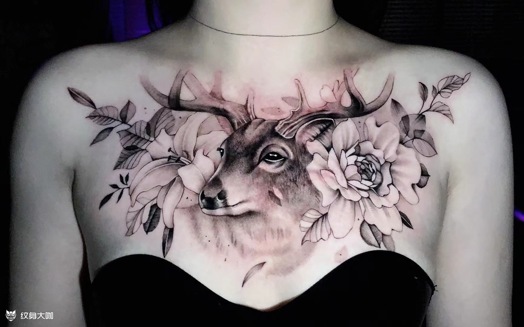 花胸鹿#遮盖作品_纹身图案手稿图片_lee的纹身作品集