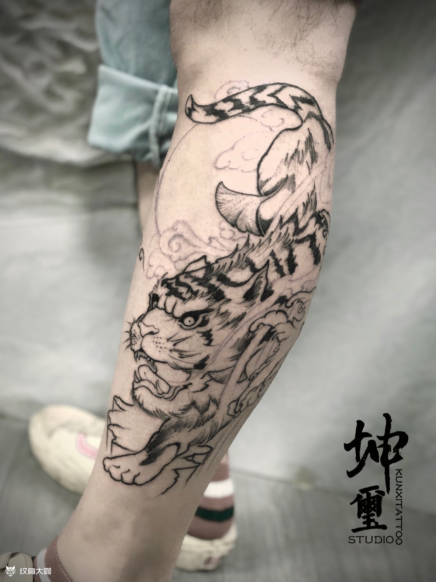 新传统包小腿虎 荷_纹身图案手稿图片_阿轶的纹身作品集