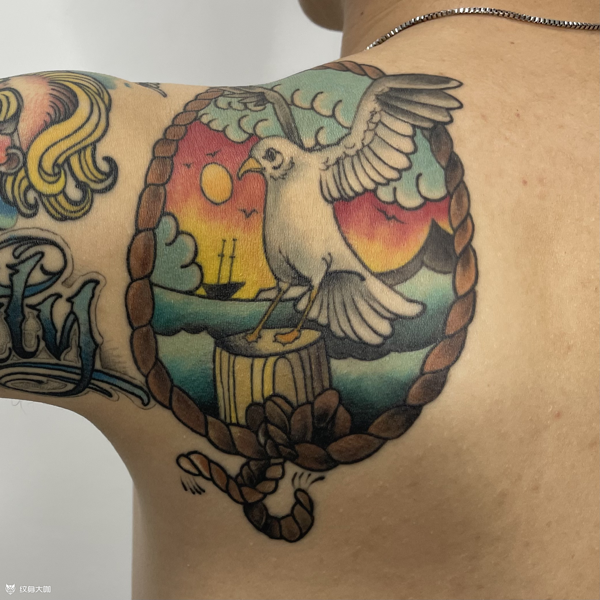 new school海鸥_纹身图案手稿图片_马脑(主功老传统)的纹身作品集