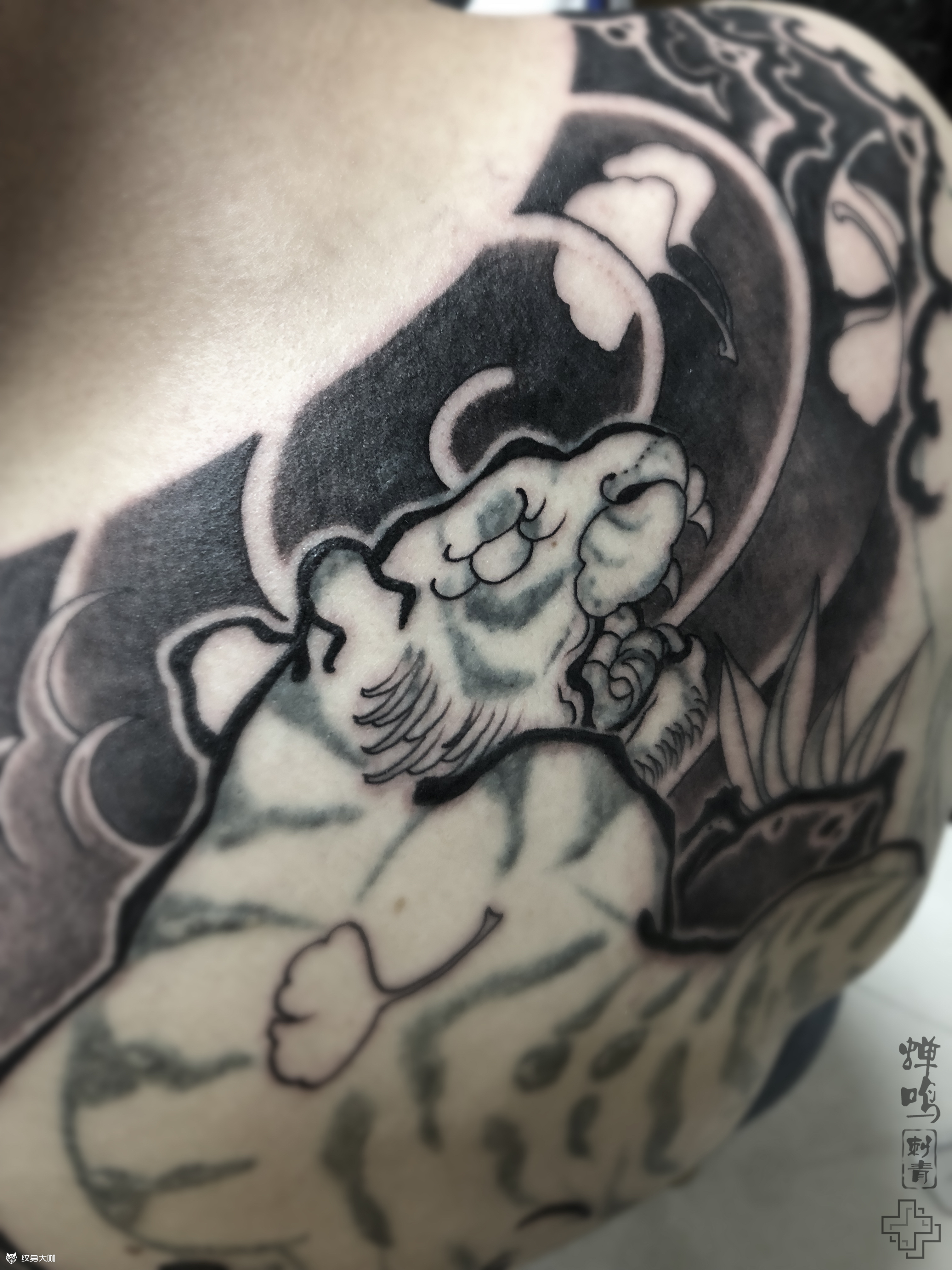 上山虎_纹身图案手稿图片_知了的纹身作品集