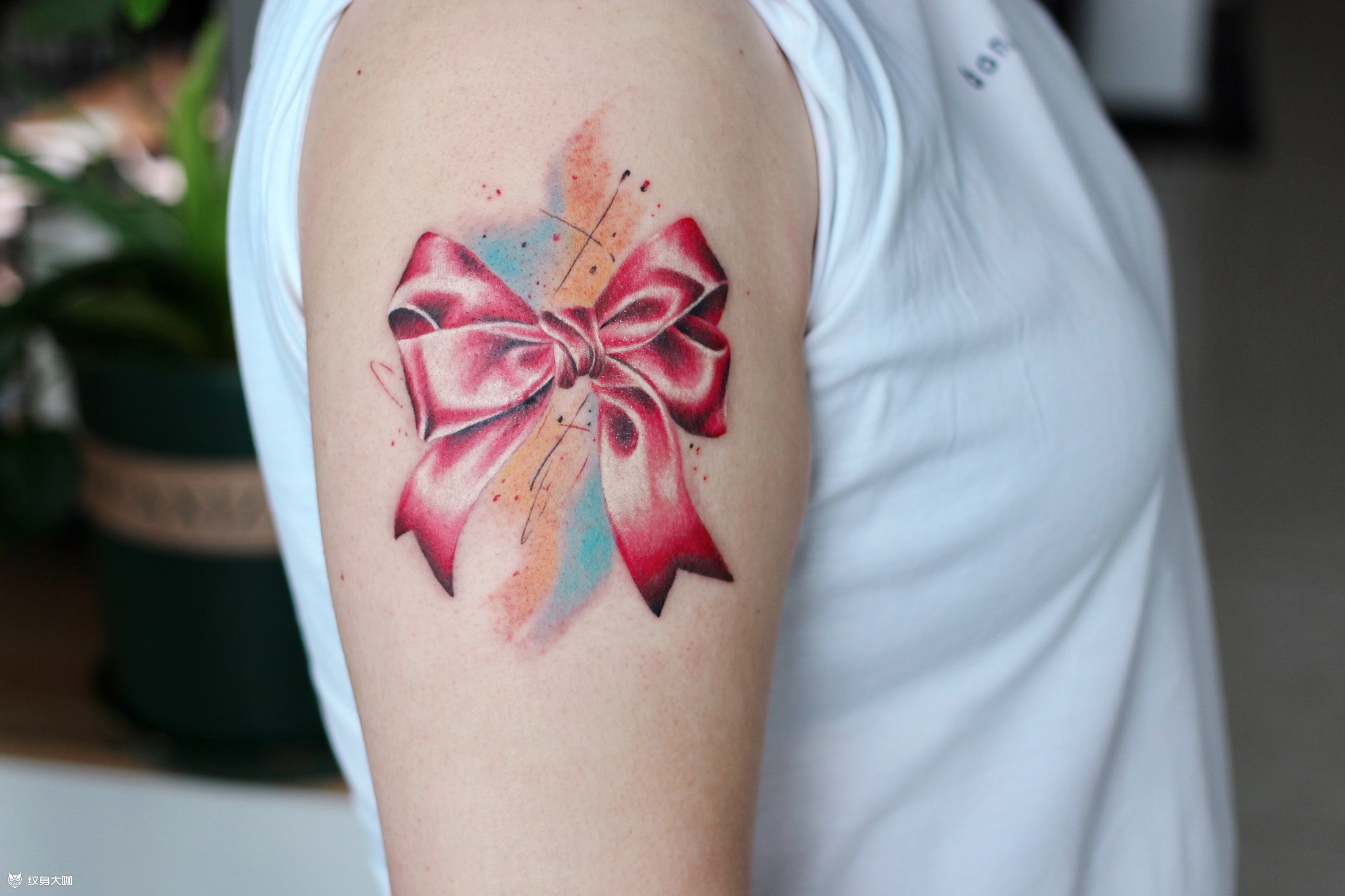 蝴蝶结_纹身图案手稿图片_老孔的纹身作品集