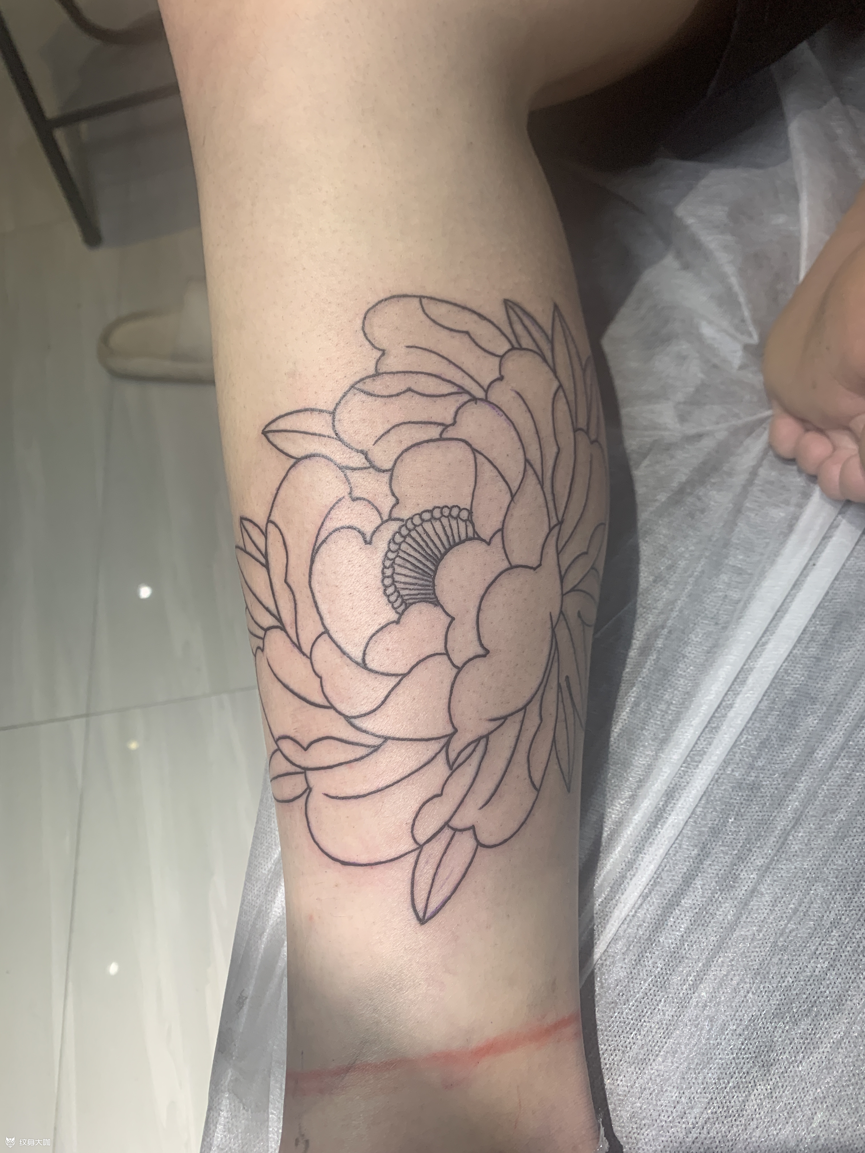 老传统牡丹包小腿_纹身图案手稿图片_雕恩旭的纹身作品集