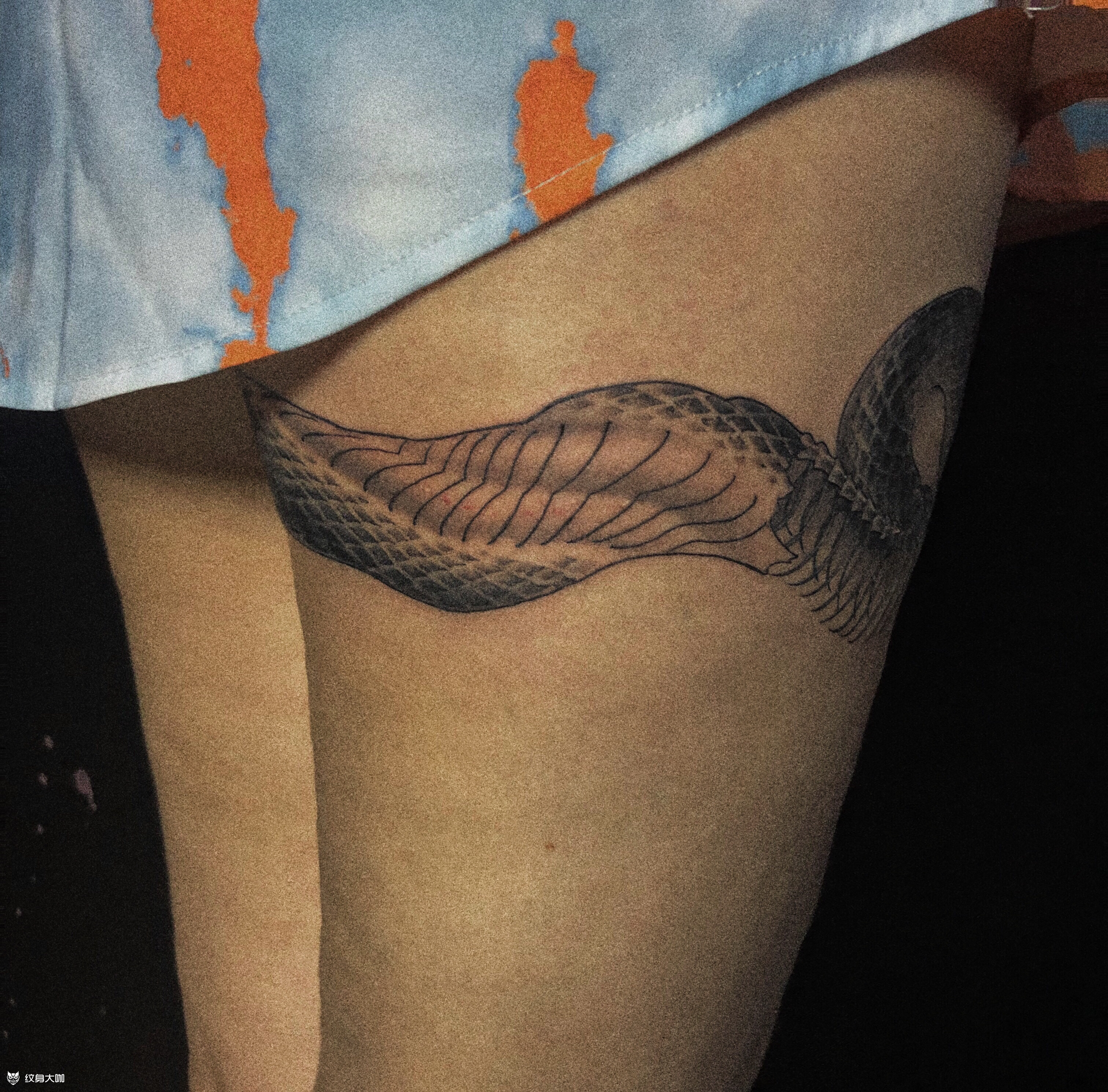 大腿蛇_纹身吧社区 - 纹身大咖