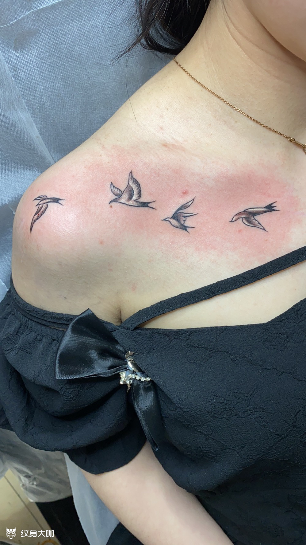 小燕子纹身图案图片