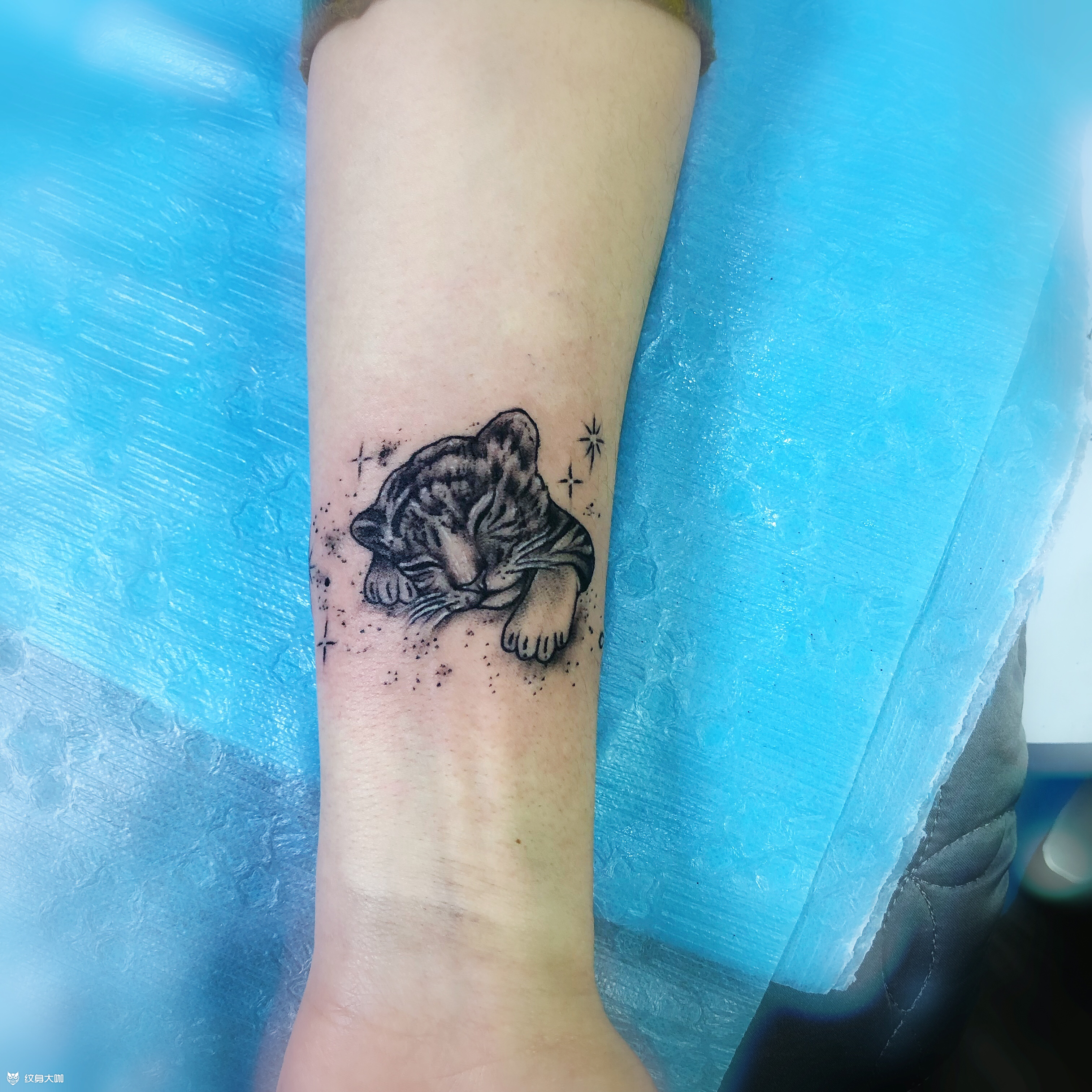 小可爱老虎_纹身图案手稿图片_罗晓晖的纹身作品集