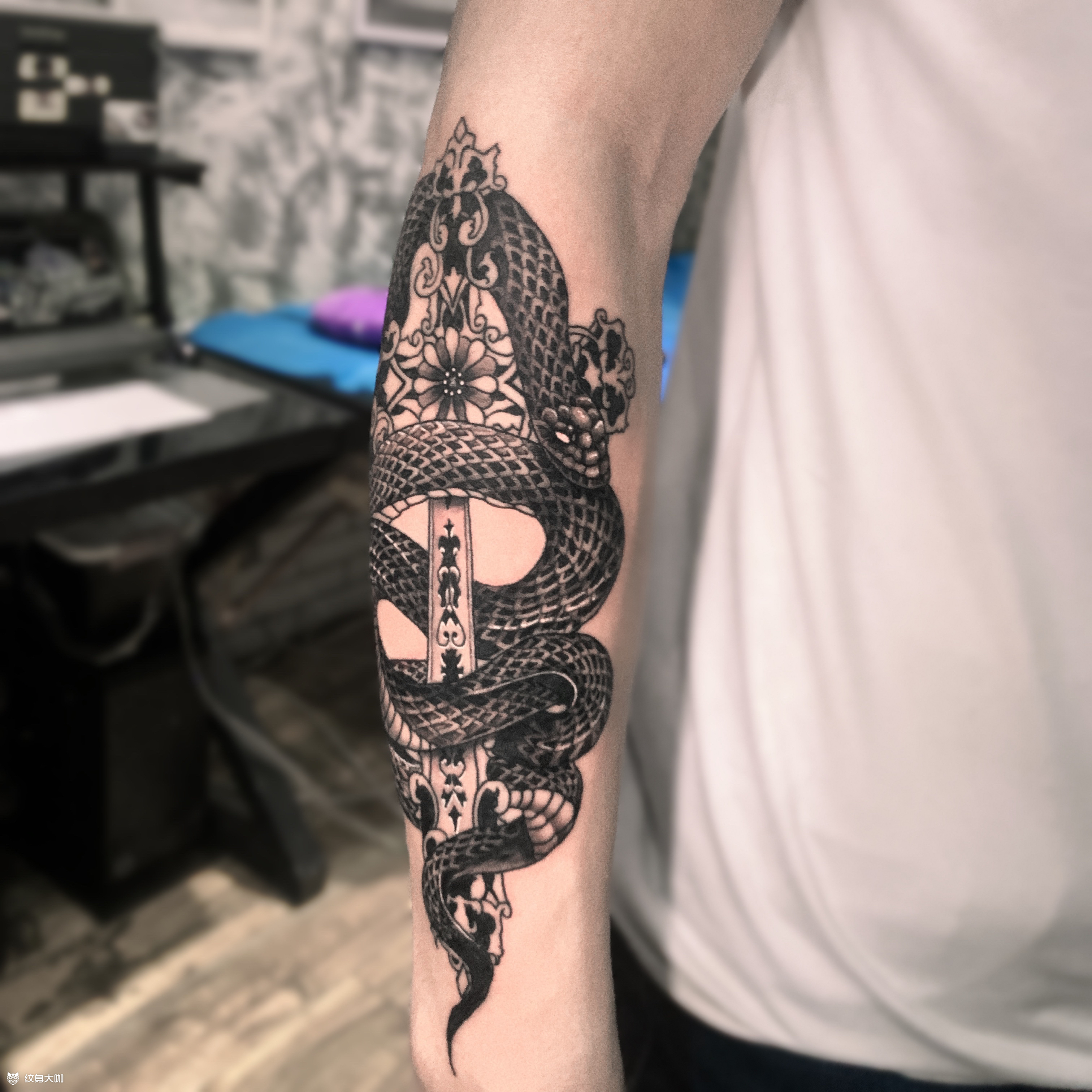 小臂蛇_纹身吧社区 - 纹身大咖