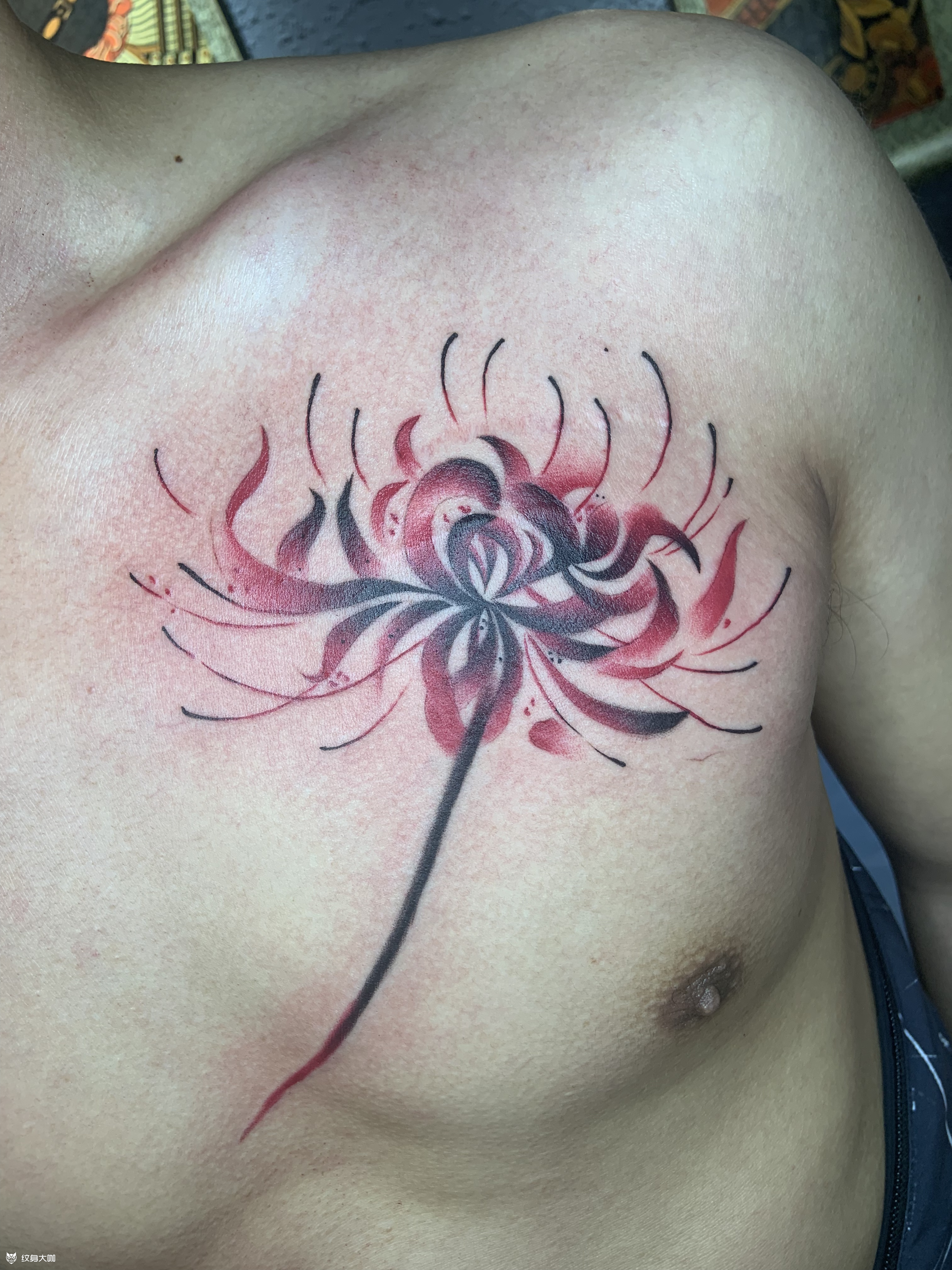 彼岸花_纹身图案手稿图片_宁波程迷文身的纹身作品集