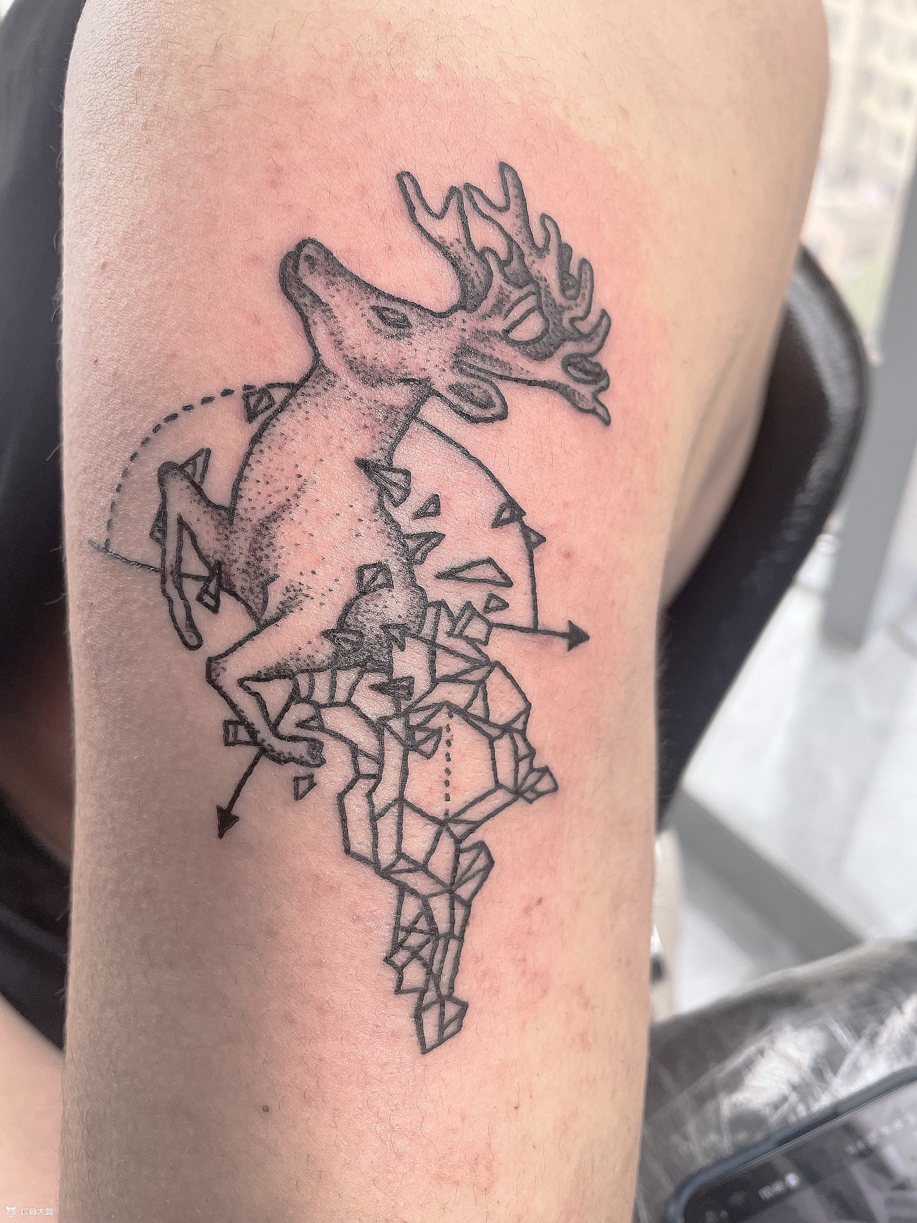 麋鹿_纹身图案手稿图片_乾瑶墨客·赵的纹身作品集