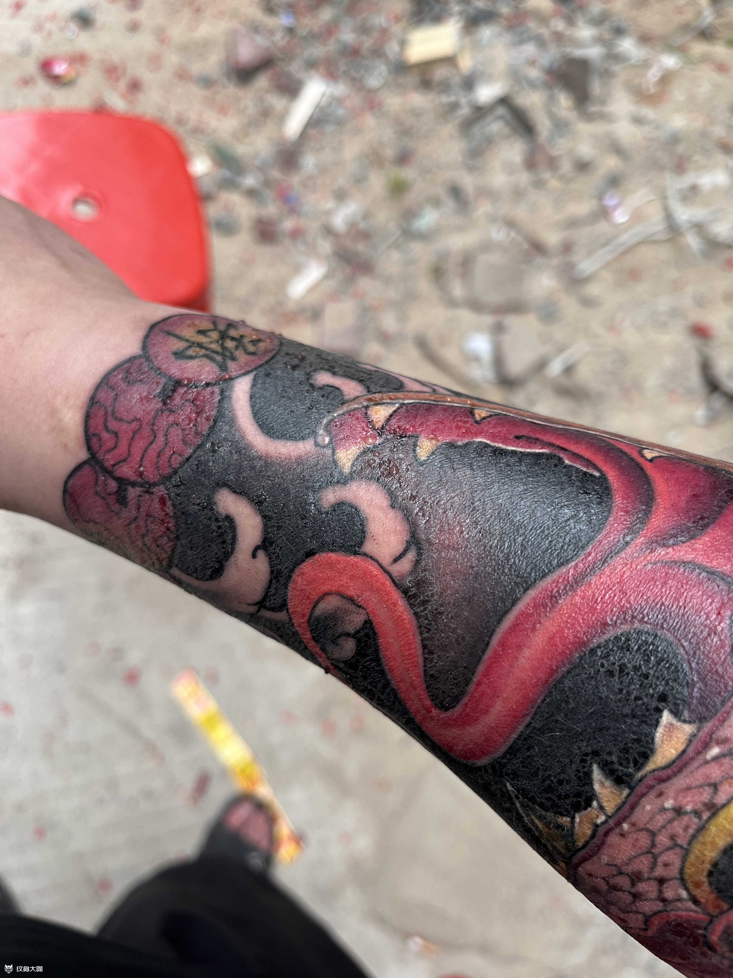 纹身第二天,肿胀冒脓,恢复之后_纹身吧社区 - 纹身大咖