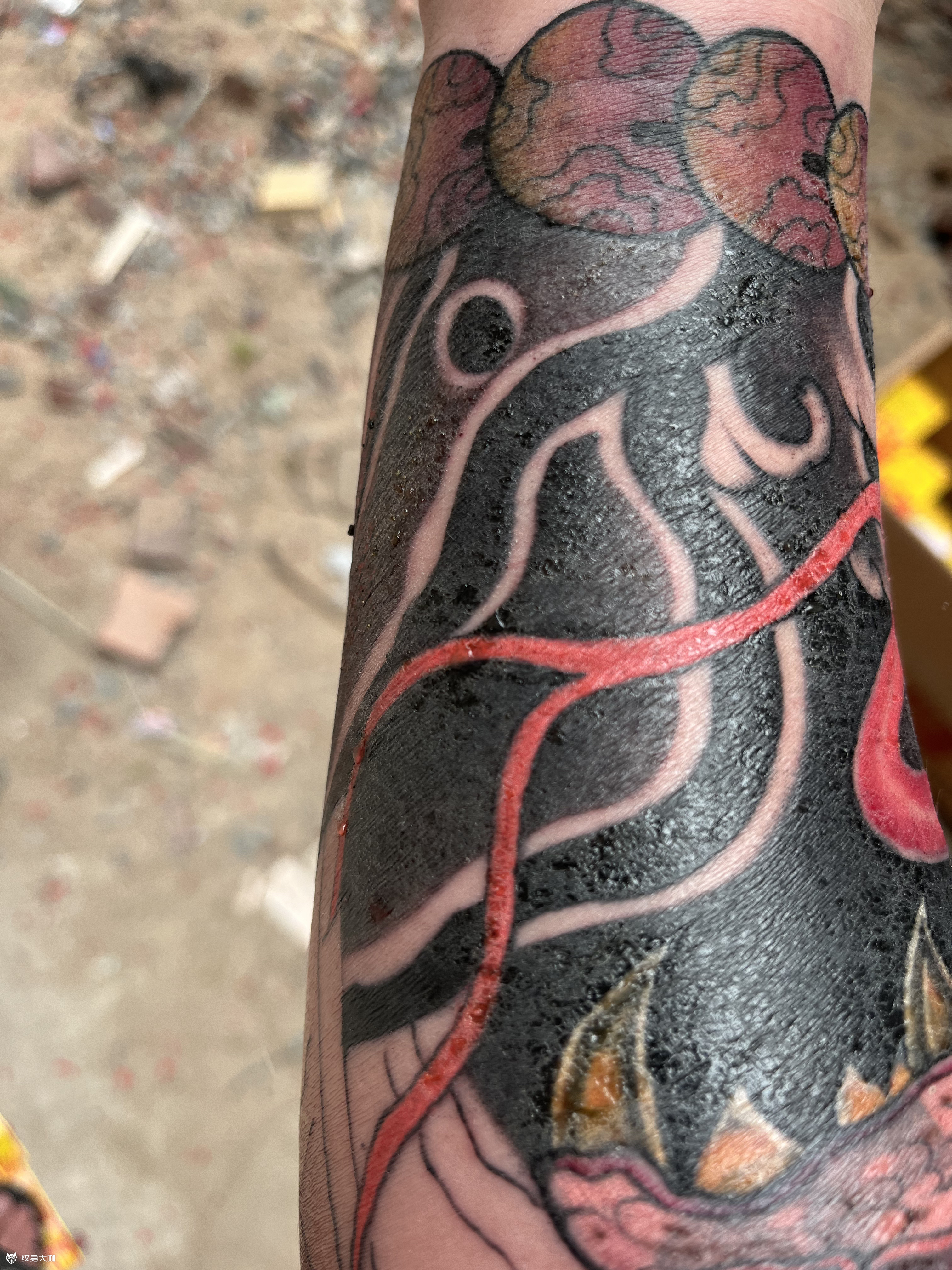 纹身第二天,肿胀冒脓,恢复之后_纹身吧社区 - 纹身大咖