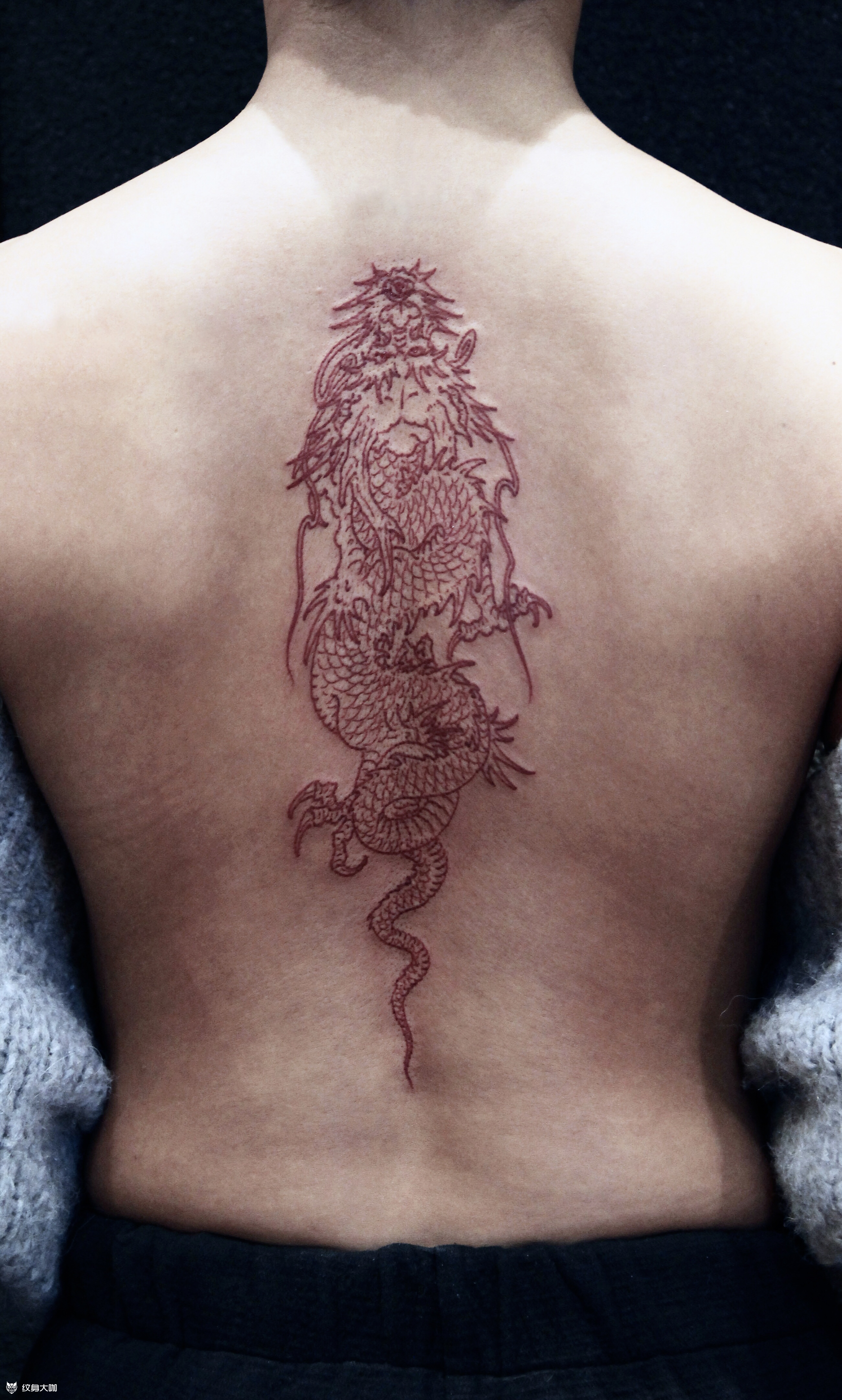 红龙_纹身吧社区 - 纹身大咖