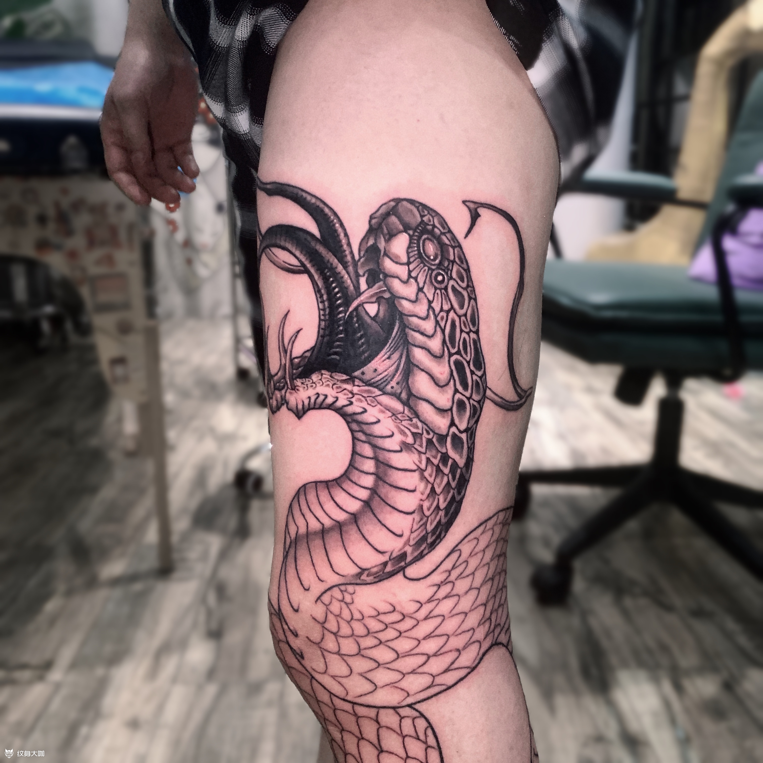 大蟒蛇_纹身吧社区 - 纹身大咖