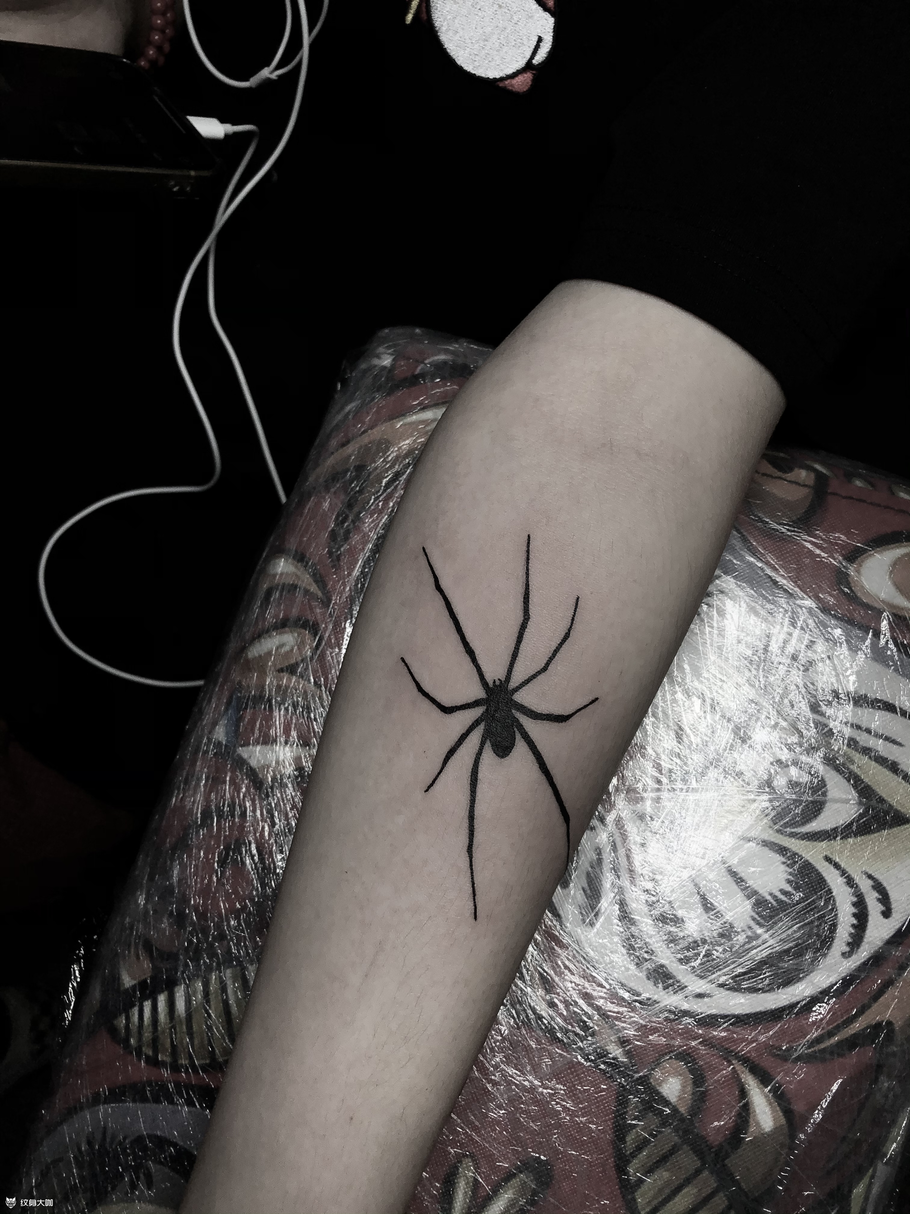蜘蛛_纹身吧社区 - 纹身大咖