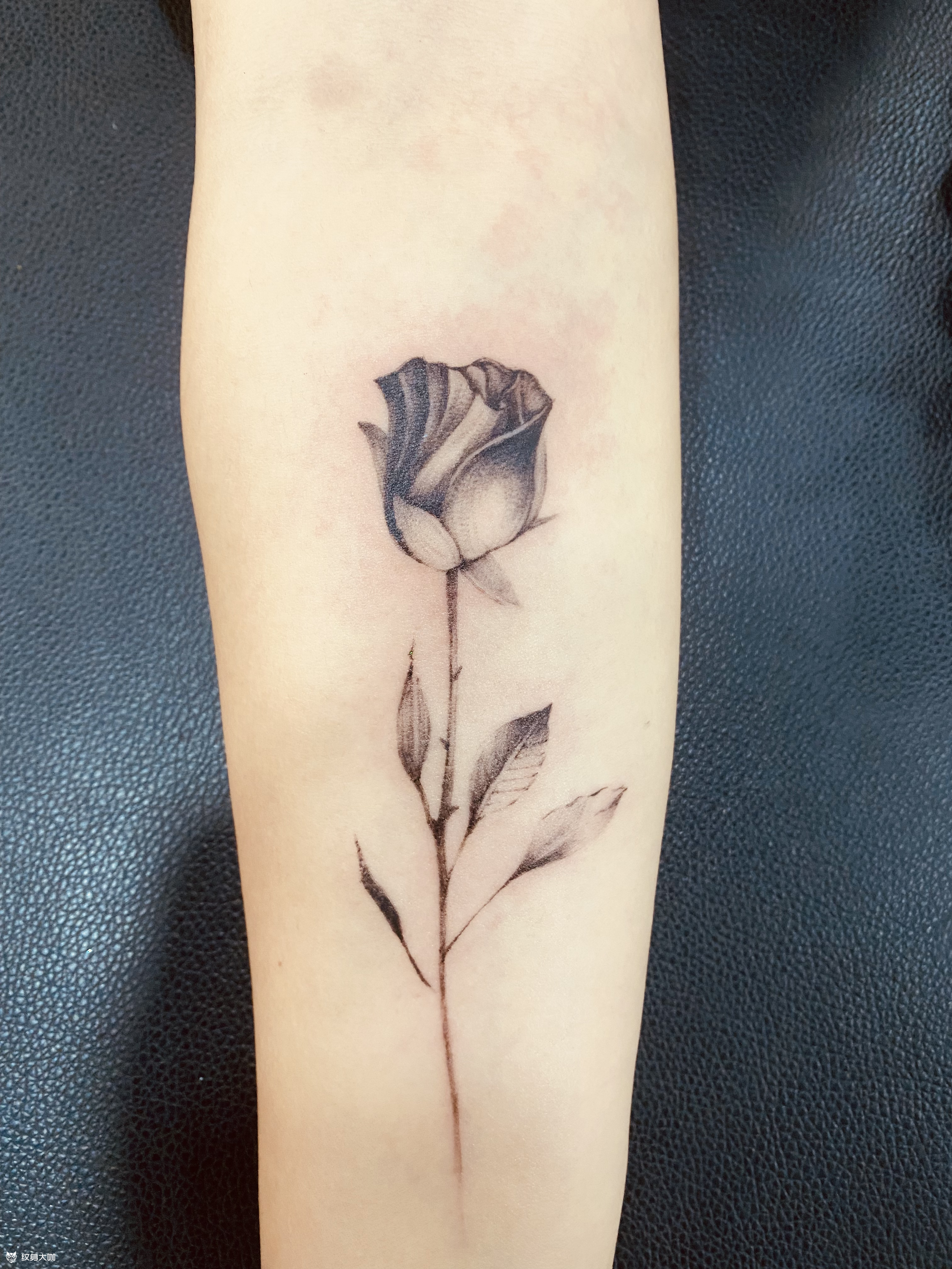 玫瑰_纹身图案手稿图片_衢州刺客的纹身作品集