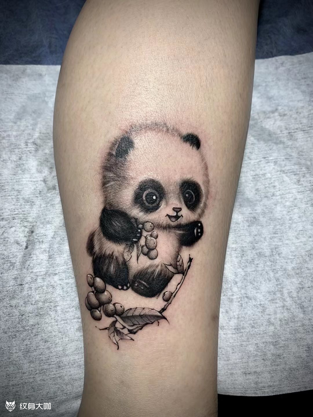 小熊猫944月25日 22点吴明熙纹身圈