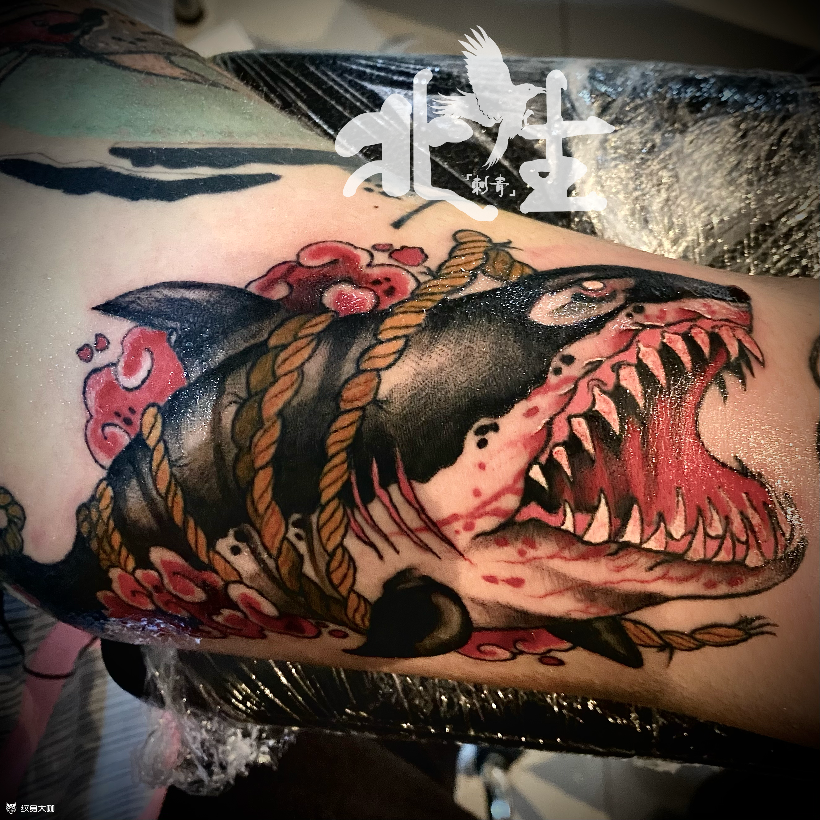 鲨鱼_纹身图案手稿图片_北生的纹身作品集