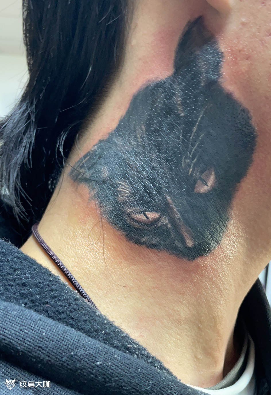 猫头_纹身图案手稿图片_吉恒友的纹身作品集