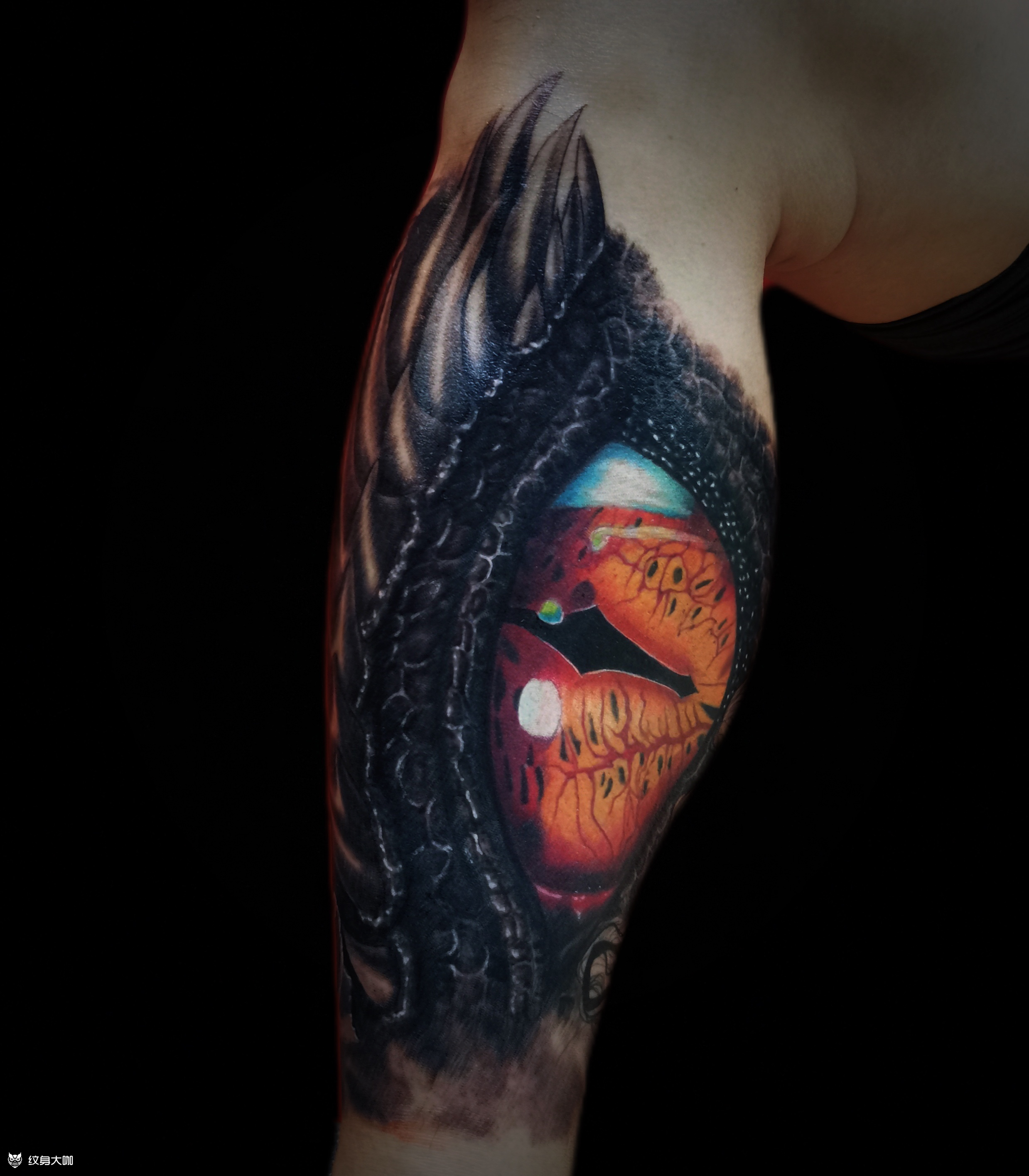 大龙眼_纹身图案手稿图片_狂客的纹身作品集