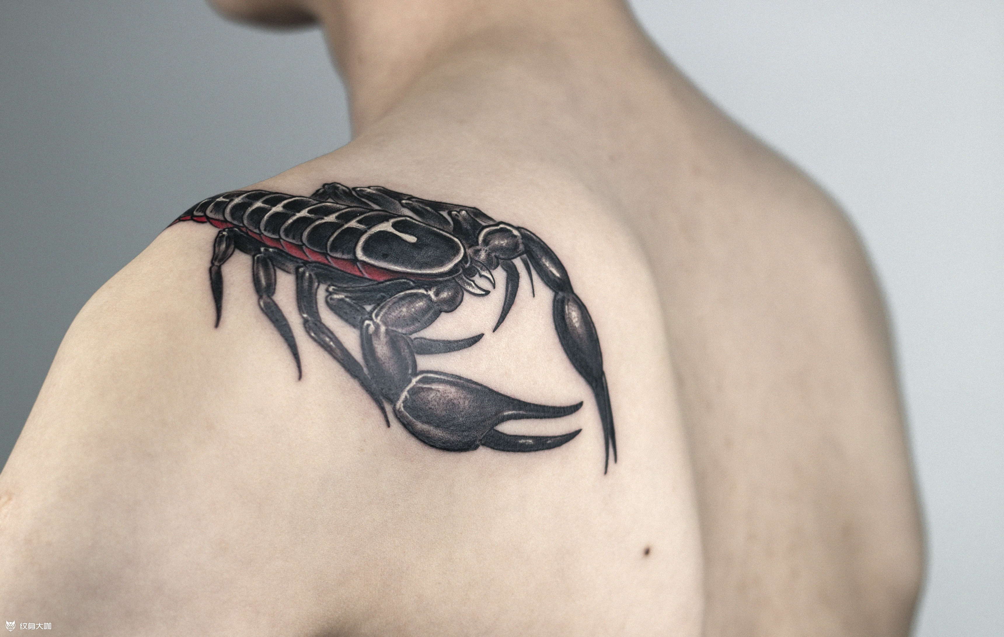 蝎子男肩部蝎子纹身