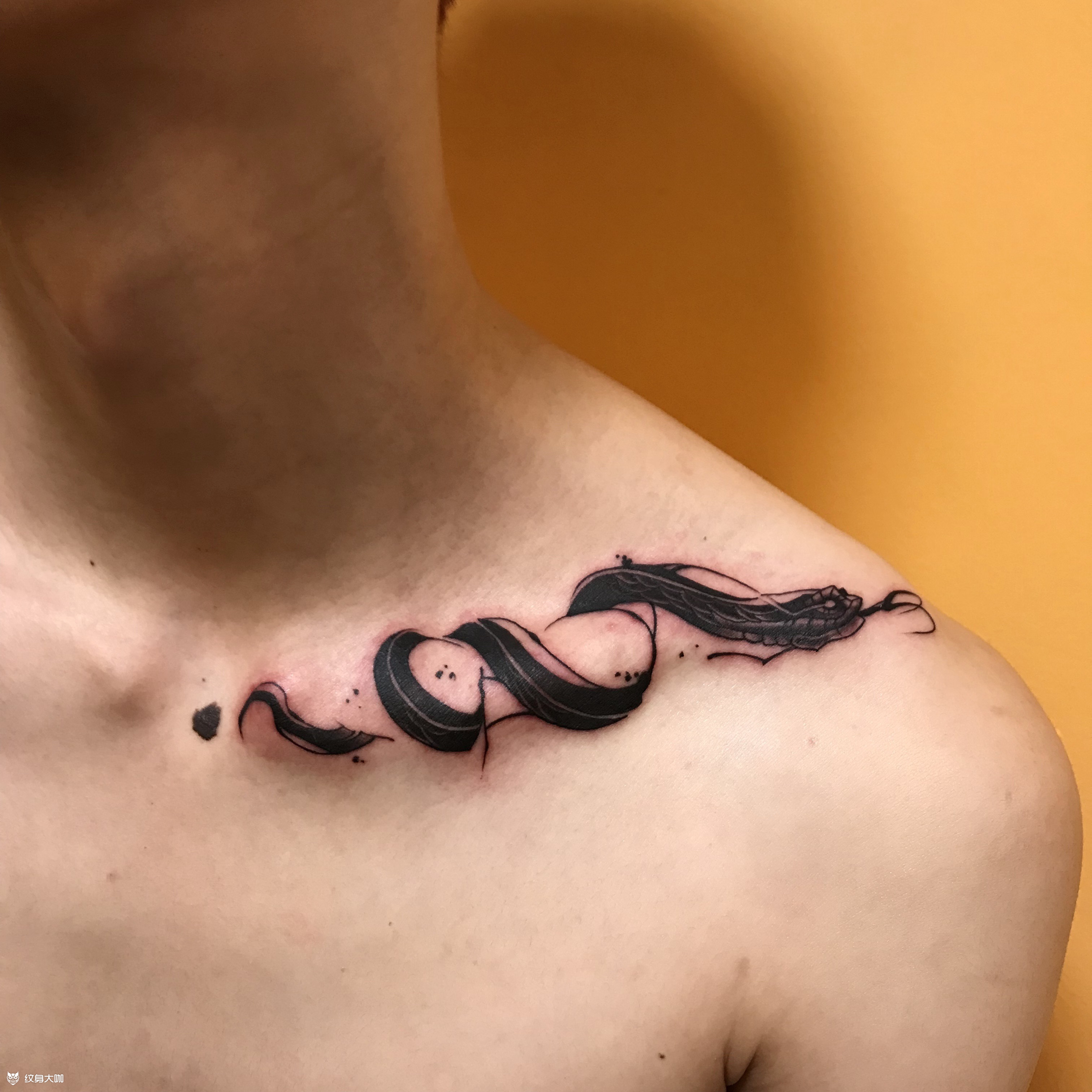 锁骨蛇_纹身图案手稿图片_ash的纹身作品集