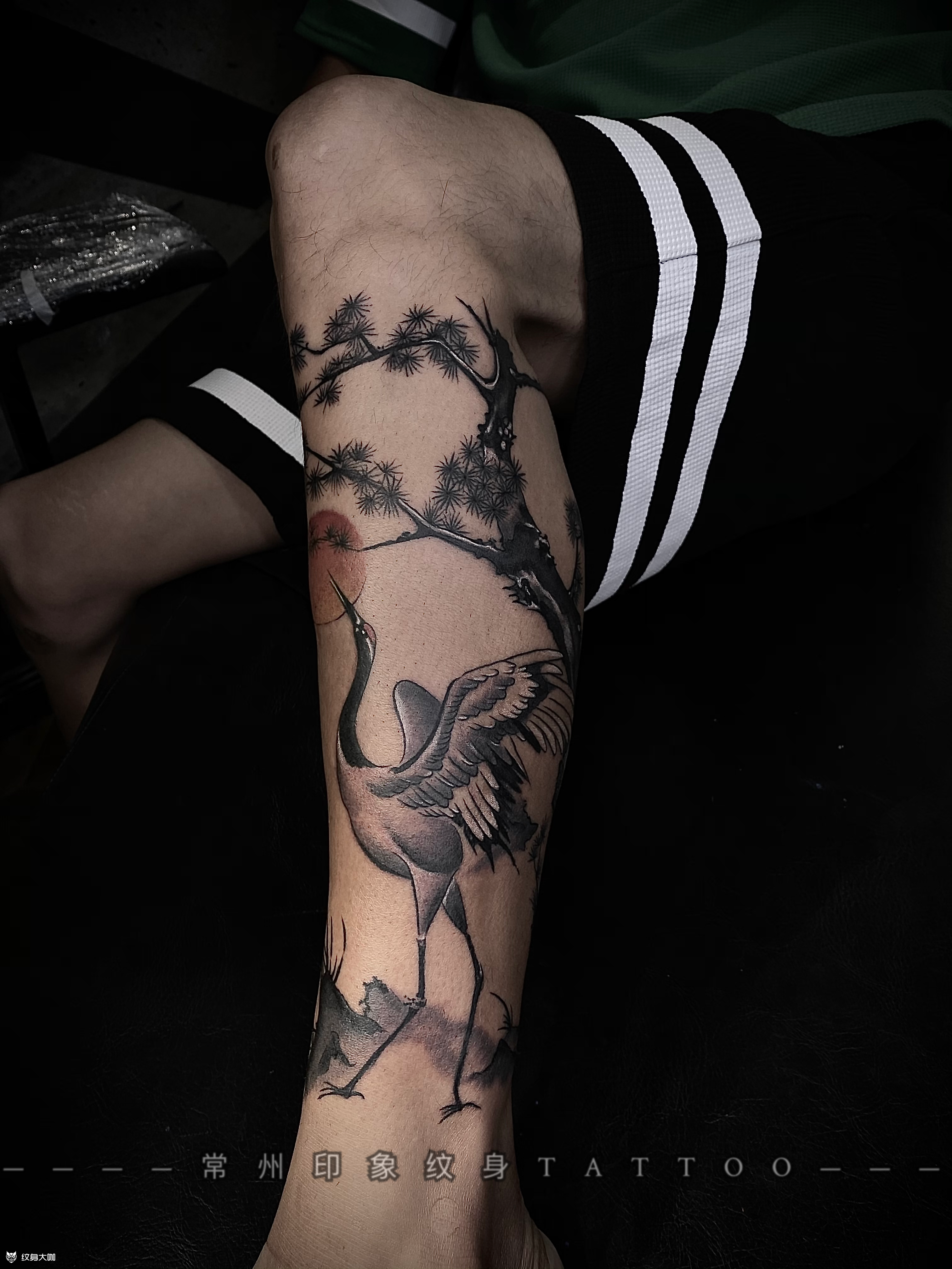 鹤_纹身图案手稿图片_歪叔的纹身作品集