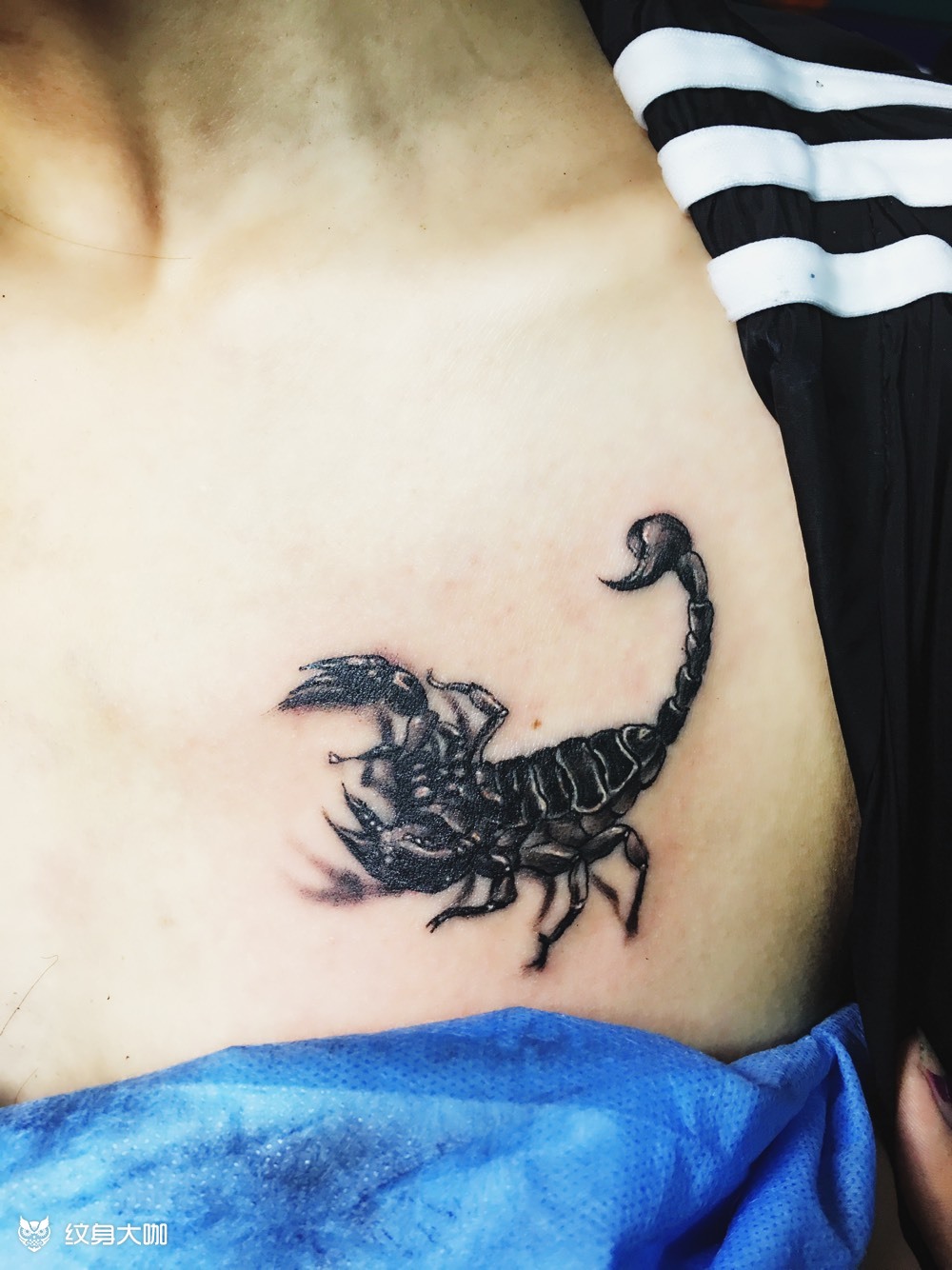 蝎子_纹身图案手稿图片_金茉的纹身作品集