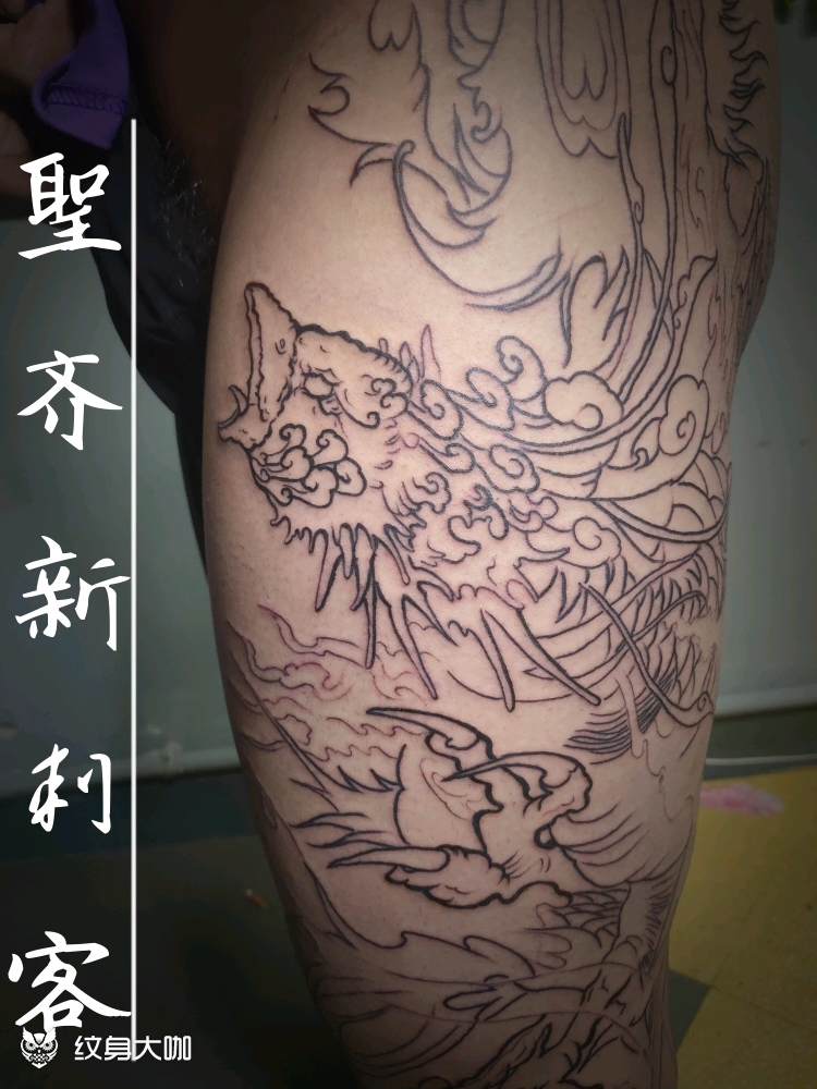 花腿凤凰线条_纹身图案手稿图片_吴奇为的纹身作品集