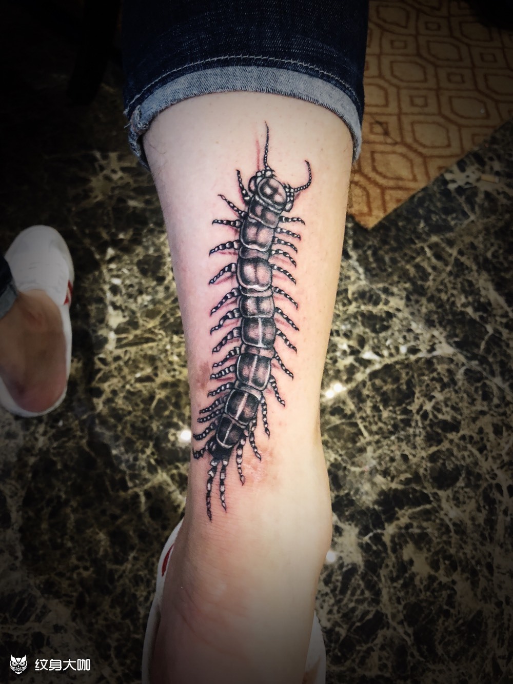 蜈蚣_纹身图案手稿图片_耍大牌的纹身作品集