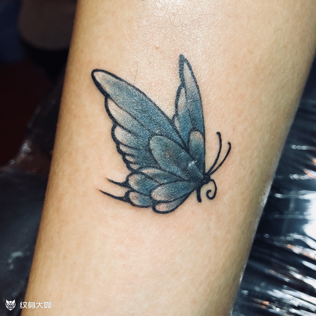 花蝴蝶_纹身图案手稿图片_红欲.的纹身作品集