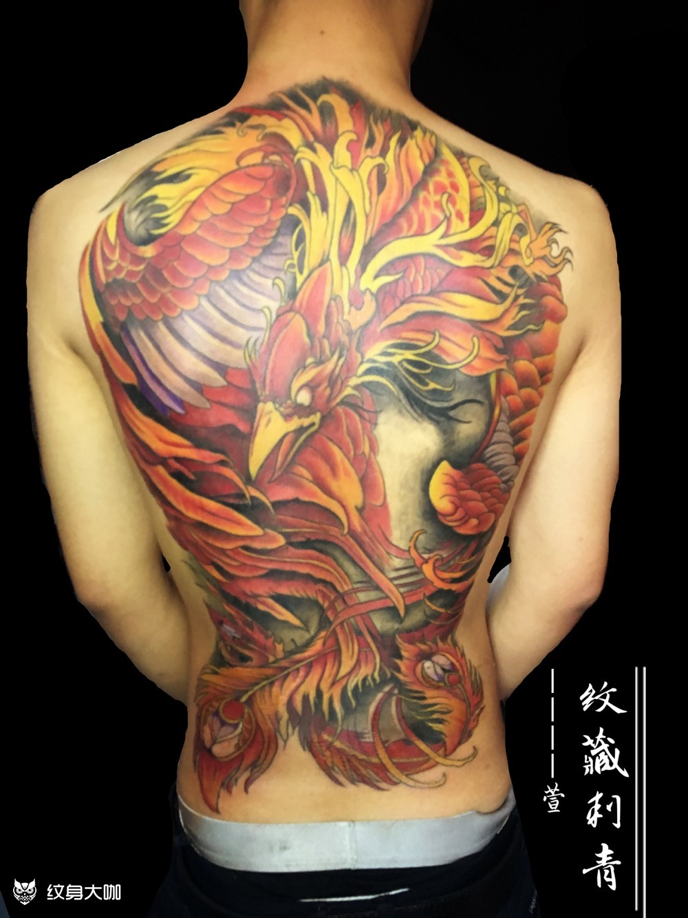 满背朱雀_纹身图案手稿图片_纹藏 · 萱的纹身作品集