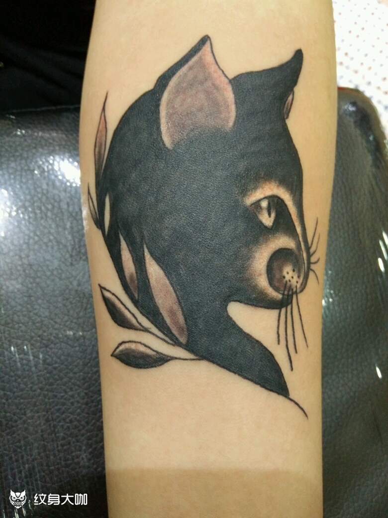 清新猫头_纹身图案手稿图片_silence的纹身作品集