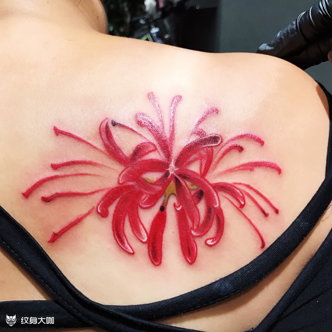 彼岸花_纹身图案手稿图片_小伟的纹身作品集