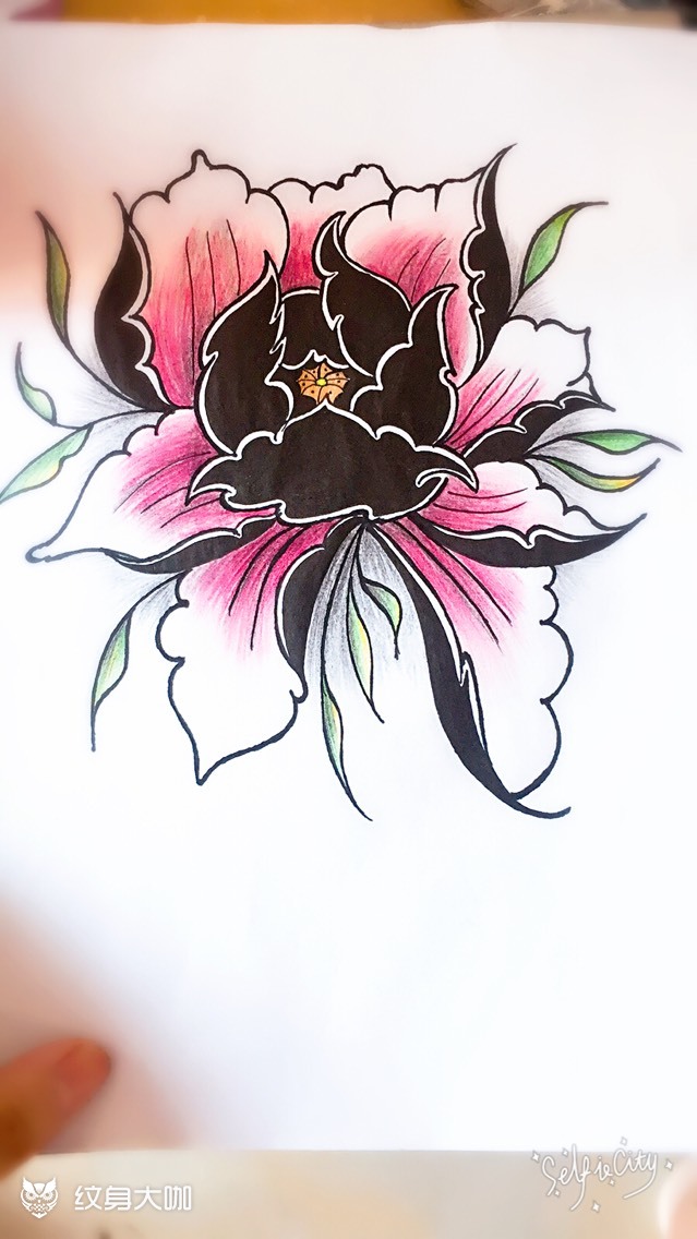 牡丹包小臂_纹身图案手稿图片_雁子的纹身作品集
