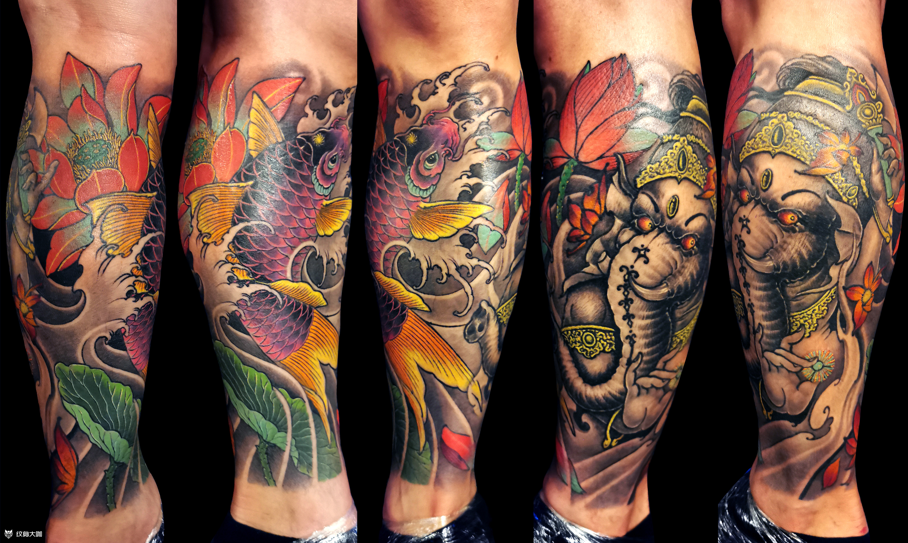锦鲤象神~包小腿_纹身图案手稿图片_黄旭的纹身作品集