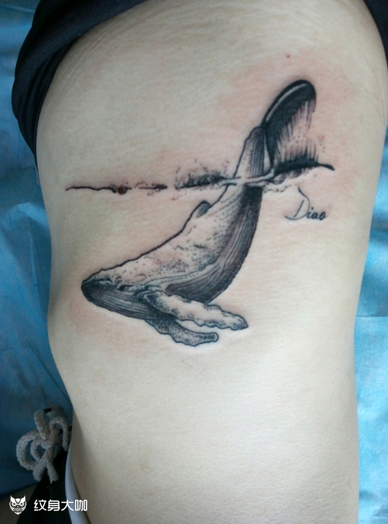 肋骨鲸鱼_纹身图案手稿图片_阿龙的纹身作品集