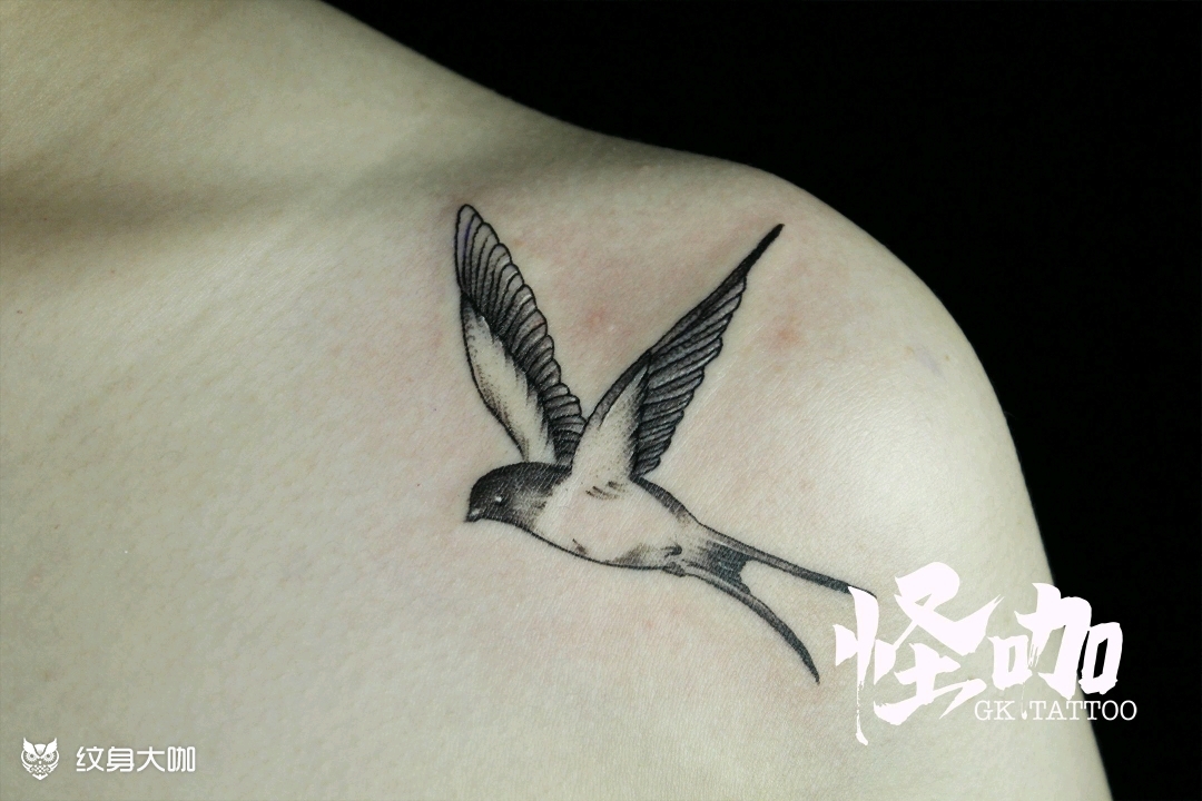 肩部燕子_纹身图案手稿图片_新月newmoon.tattoo的纹身作品集