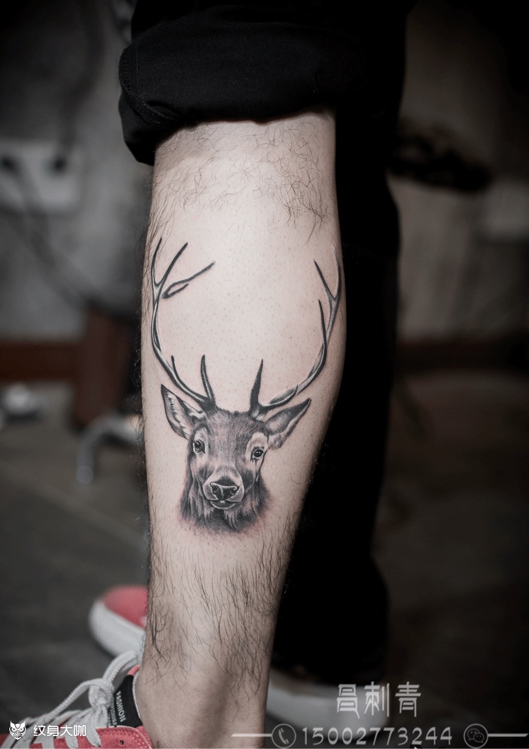 小腿鹿头_纹身图案手稿图片_李昌的纹身作品集
