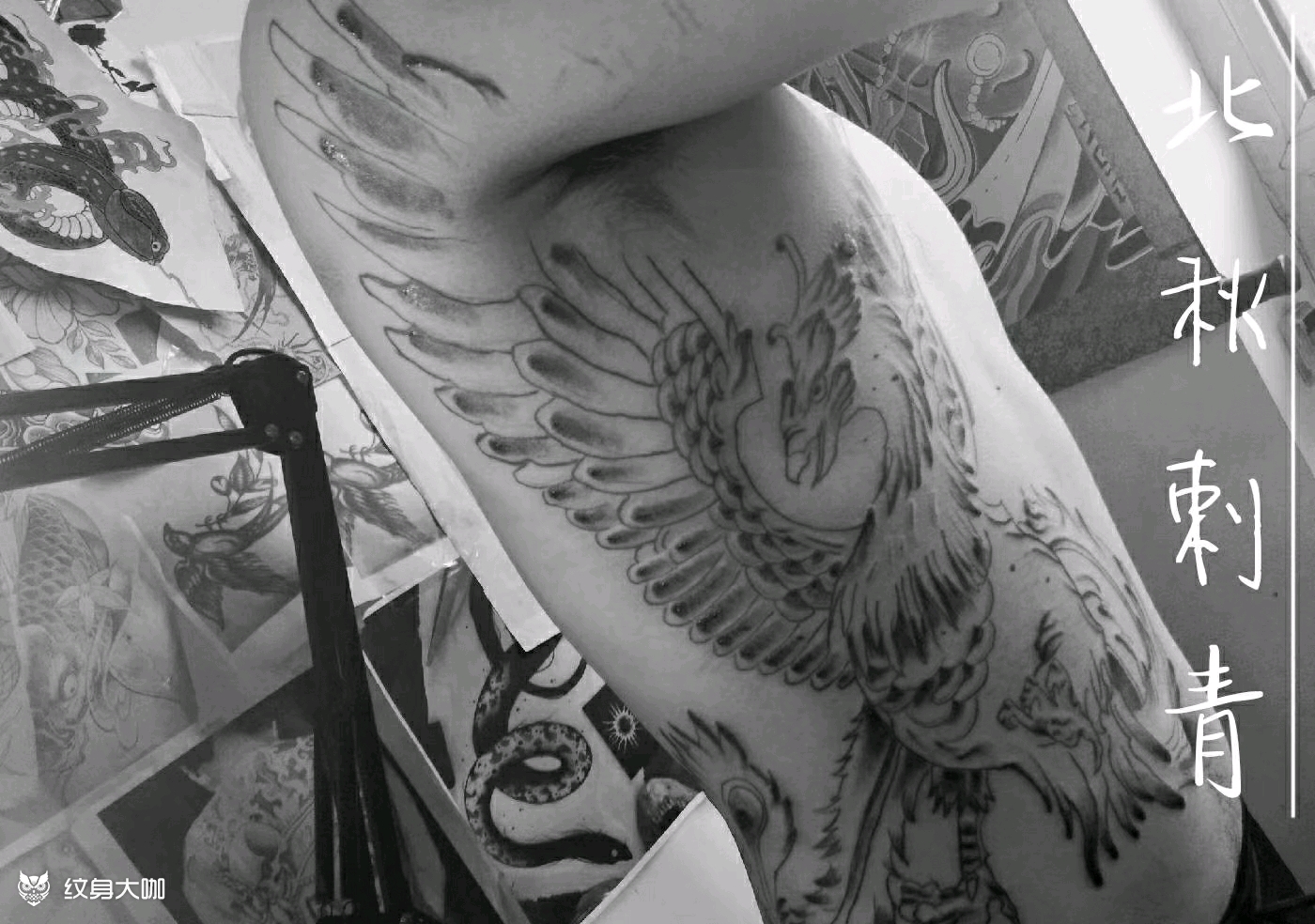 凤凰打雾_纹身图案手稿图片_北秋的纹身作品集