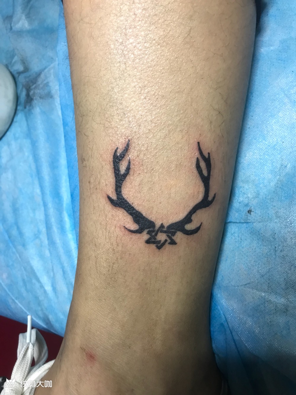 鹿角_纹身图案手稿图片_安鬼的纹身作品集
