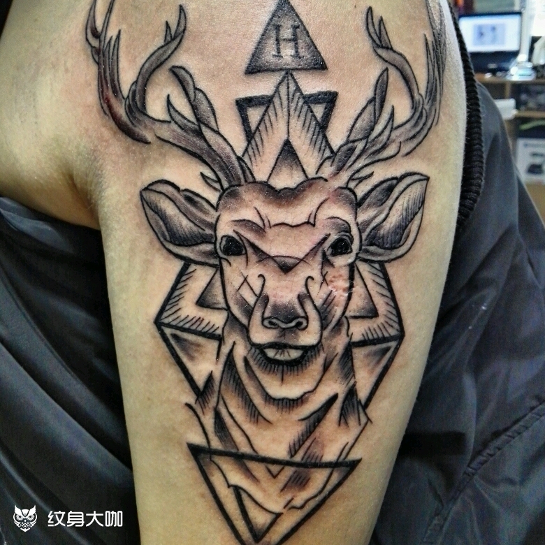 鹿头_纹身图案手稿图片_党潮的纹身作品集