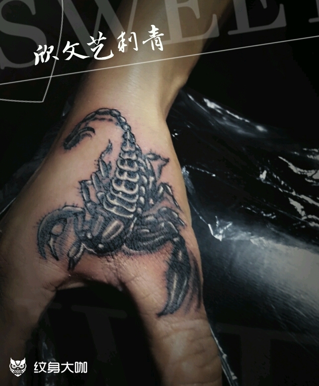 手部蝎子旺哥作品