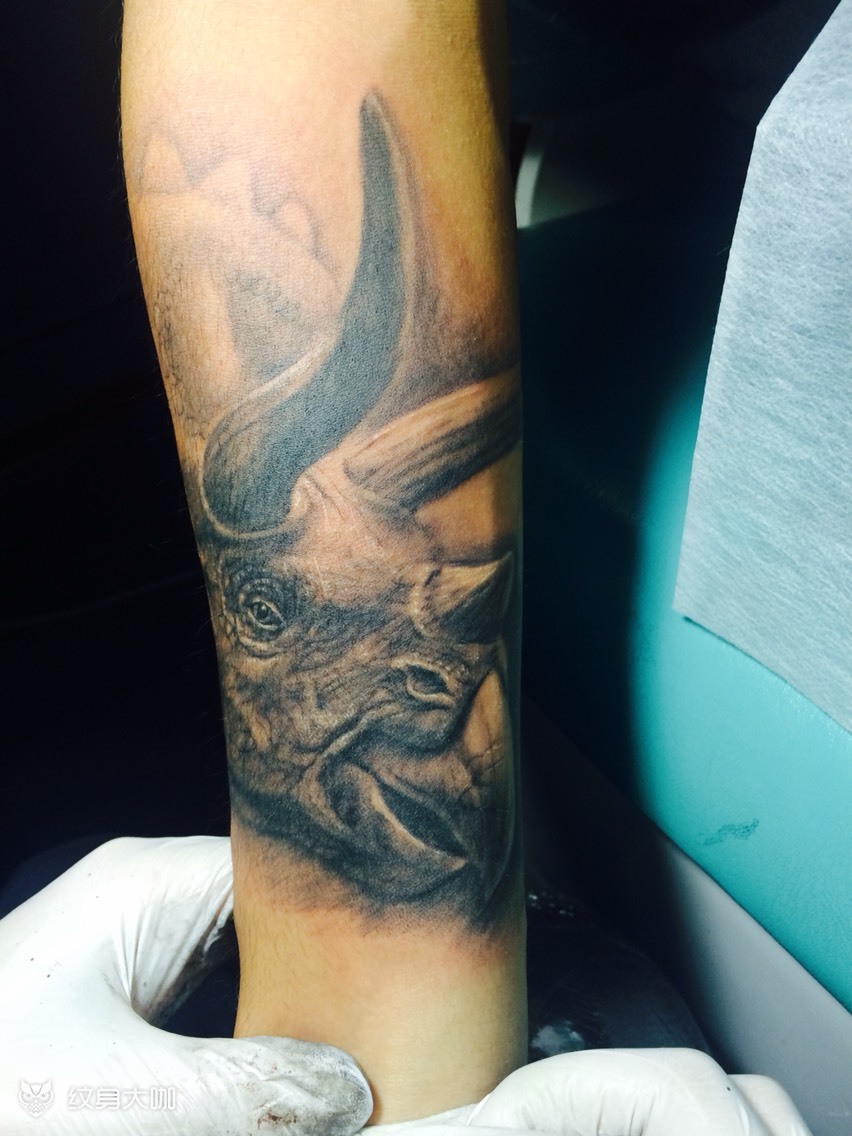 三角龙_纹身图案手稿图片_王月的纹身作品集