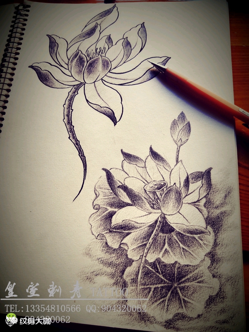 荷花_纹身图案手稿图片_大江的纹身作品集