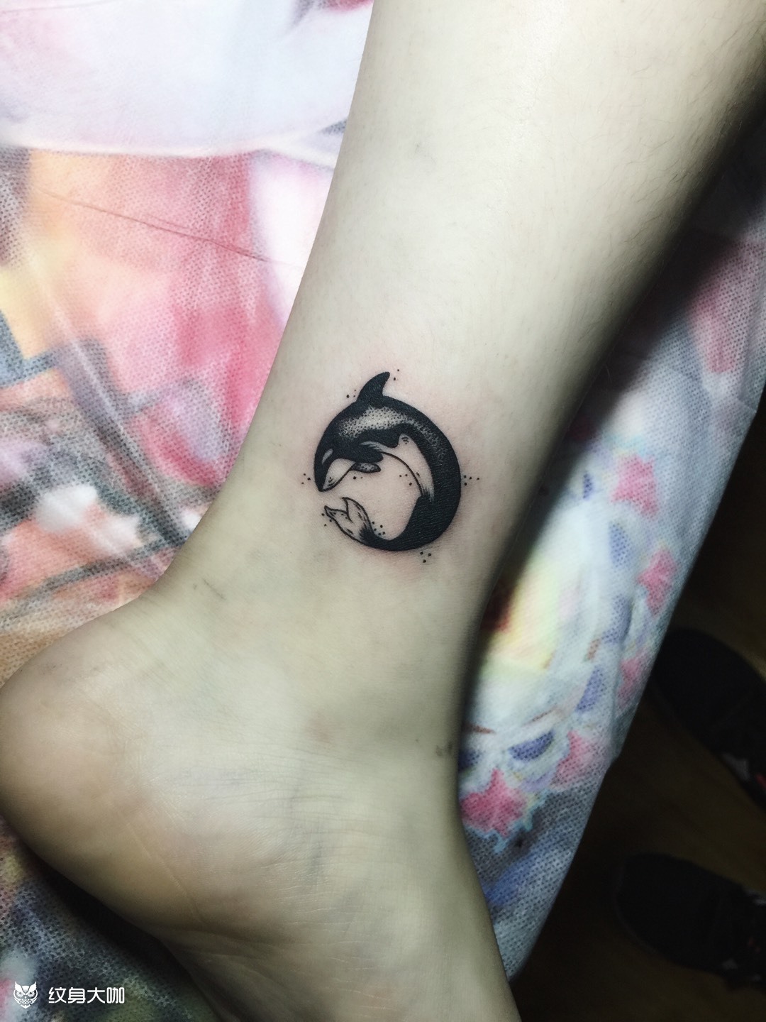 小海豚_纹身图案手稿图片_蒋吴东的纹身作品集