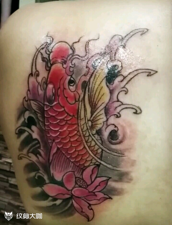 后背鲤鱼_纹身图案手稿图片_野狼ttaaoo的纹身作品集