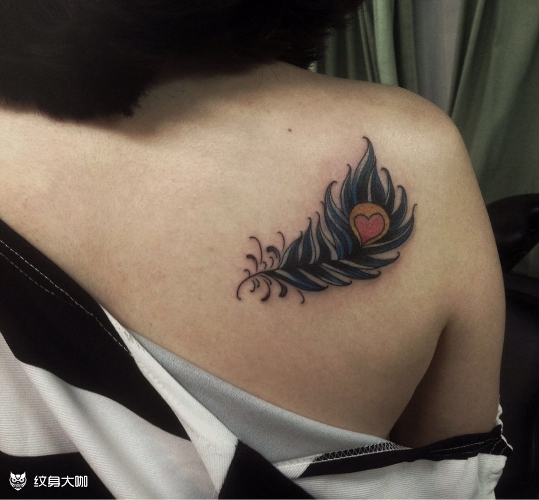 背部孔雀羽毛_纹身图案手稿图片_廿一的纹身作品集