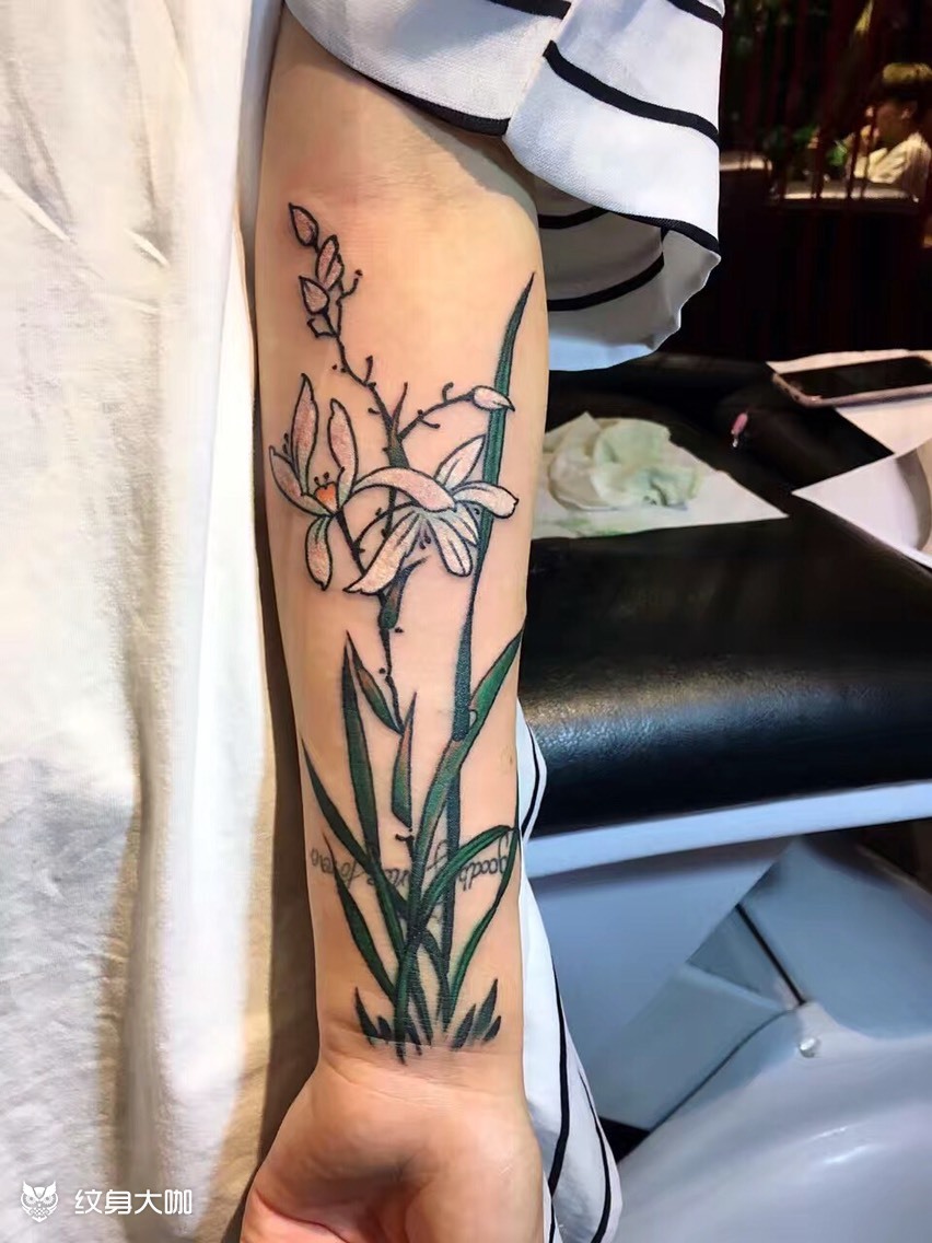 水仙_纹身图案手稿图片_隔壁老王的纹身作品集