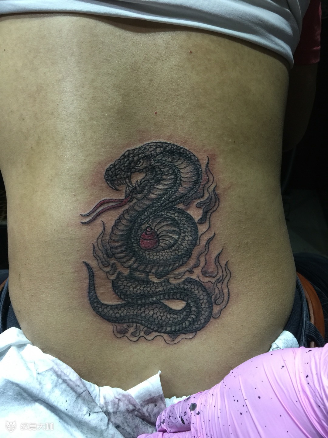 大蛇_纹身图案手稿图片_陈东海的纹身作品集