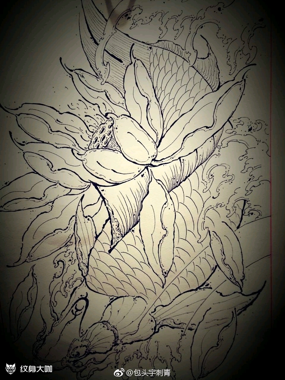 锦鲤_纹身图案手稿图片_包克图刘宇的纹身作品集