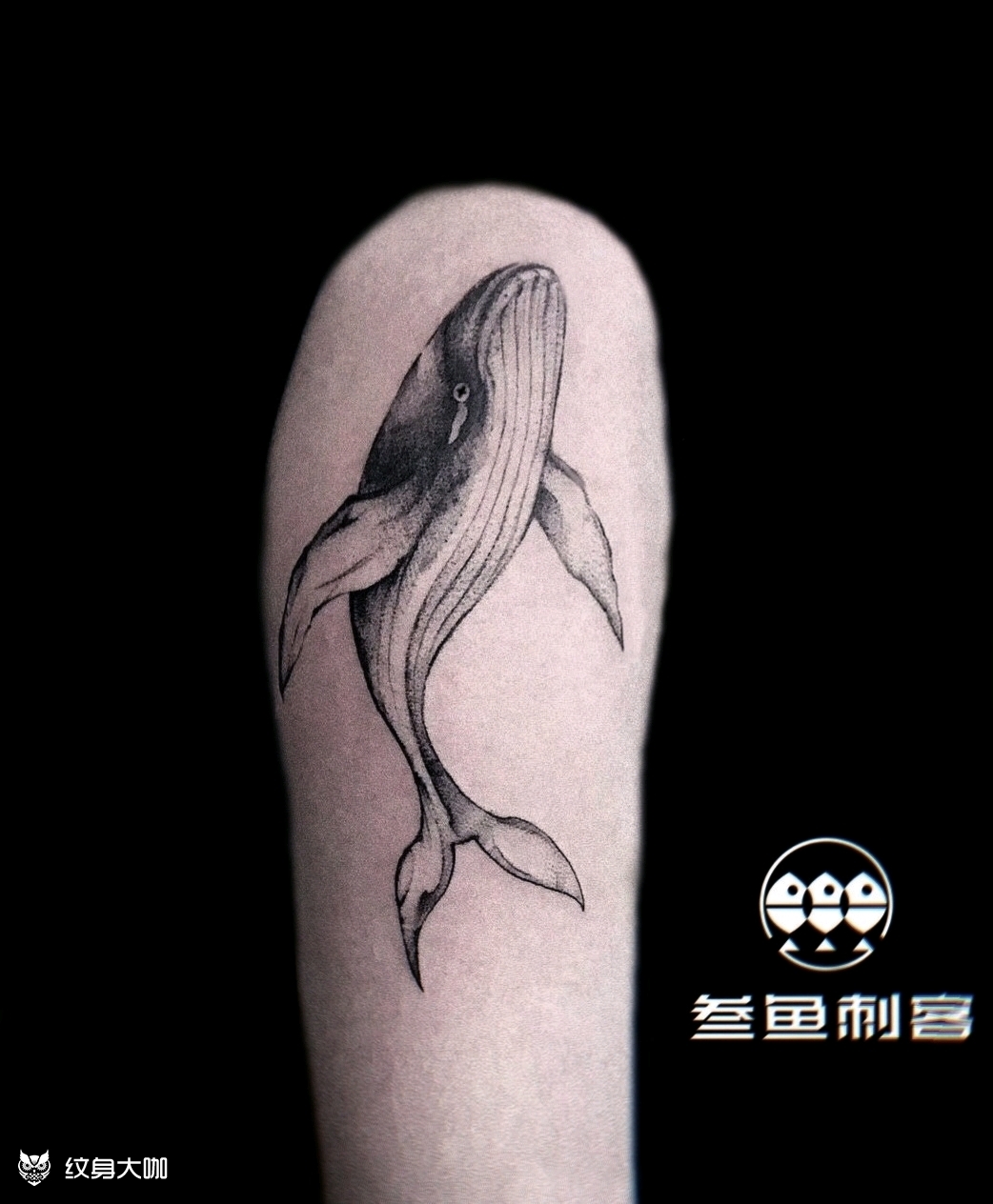 鲲纹身72鲲点刺风格同款做_纹身吧社区 - 纹身大咖